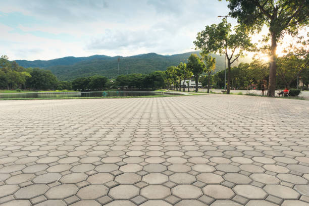 Best Driveway Pavers Near Me  in Crest Hl, IL